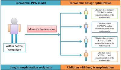 Optimizing the initial tacrolimus dosage in Chinese children with lung transplantation within normal hematocrit levels